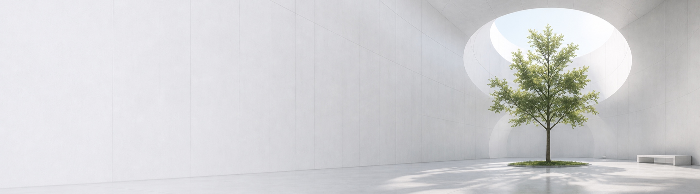Solitary tree beneath a circular roof opening in a wide mineral-white courtyard
